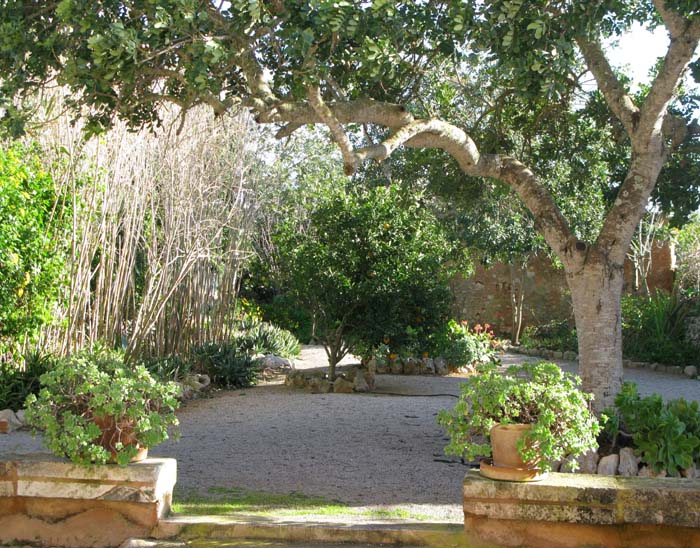 garden view